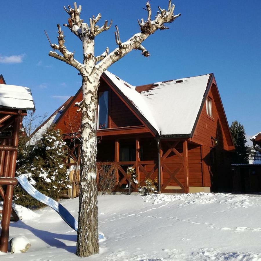 Domcek Pri Vode Villa Mlynceky Buitenkant foto
